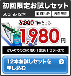 初回限定お試しセット