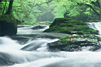 第1回　日本名水百選「熊本県菊池の天然水」との運命の出会い