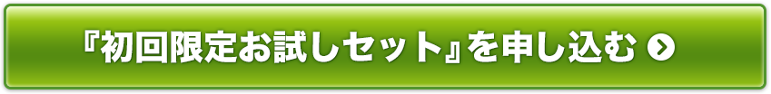 「初回限定お試しセット」を申し込む